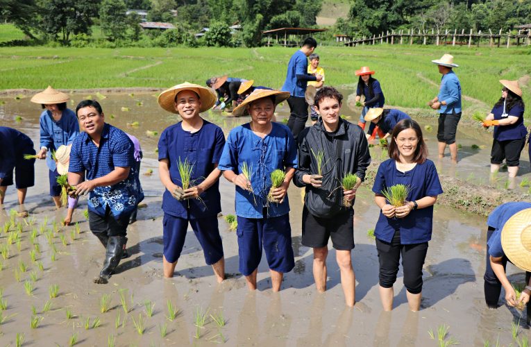 เกษตรแม่ฮ่องสอน “ฤดูกาลท่องเที่ยวเชิงเกษตรบ้านแพมบก อำเภอปาย” ยกระดับแหล่งท่องเที่ยวเชิงเกษตร