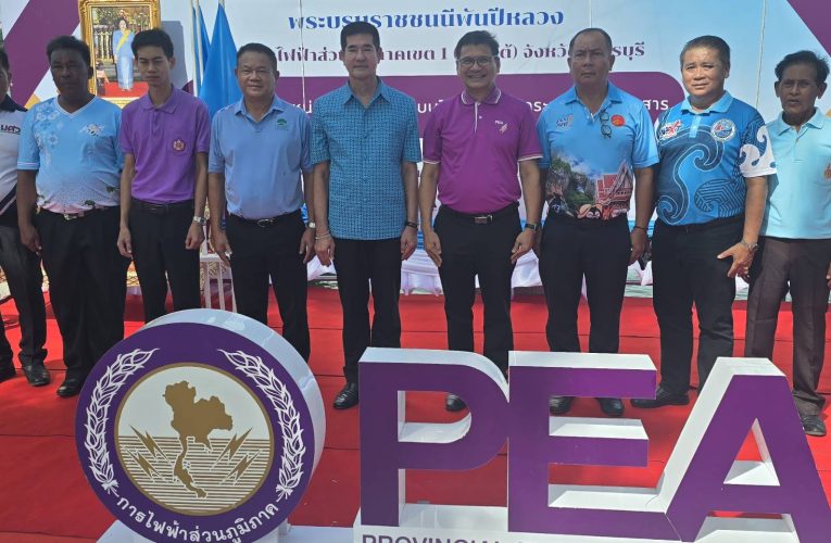 การไฟฟ้าส่วนภูมิภาค จัดโครงการเฉลิมพระเกียรติฯ ลดการสูญเสียในระบบไฟฟ้า และจัดระเบียบสายสื่อสาร