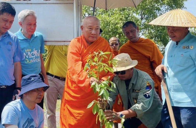 รวมพลคนจงรักภักดี’ ร่วมปลูกป่ากว่า 3 พันต้น เฉลิมพระเกียรติ-ถวายเป็นพระราชกุศล พระพันปีหลวง เนื่องในวันเฉลิมพระชนมพรรษา