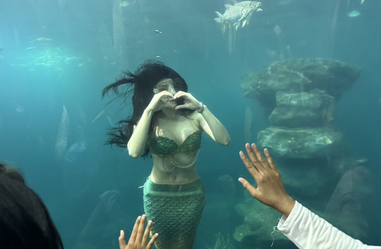 หนองคาย ประชาชน –เงือกหนุ่มสาว โผล่โชว์ ที่ อควาเรียม พิพิธภัณฑ์สัตว์น้ำ