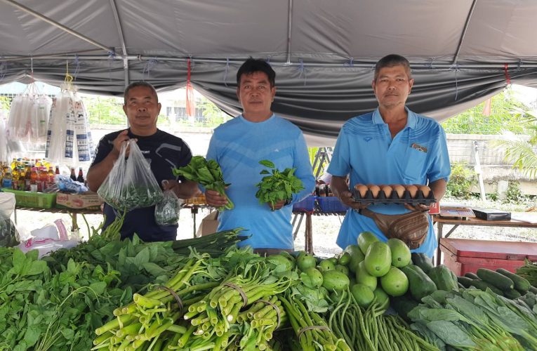 ปทุมธานี – เจ้าของตลาดนัดใจป้ำเปิดตลาดนัดขายฟรีจนกว่าสงครามจะสงบ