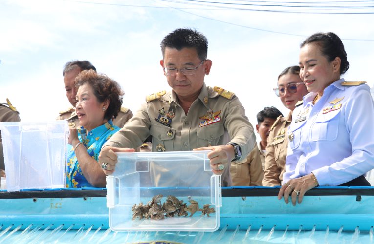 ประมงจังหวัดสิงห์บุรี จัดพิธีปล่อยพันธุ์สัตว์น้ำ เนื่องในโอกาสวันเฉลิมพระชนมพรรษา สมเด็จพระนางเจ้าสิริกิติ์ พระบรมราชินีนาถ พระบรมราชชนนีพันปีหลวง 12 สิงหาคม 2568