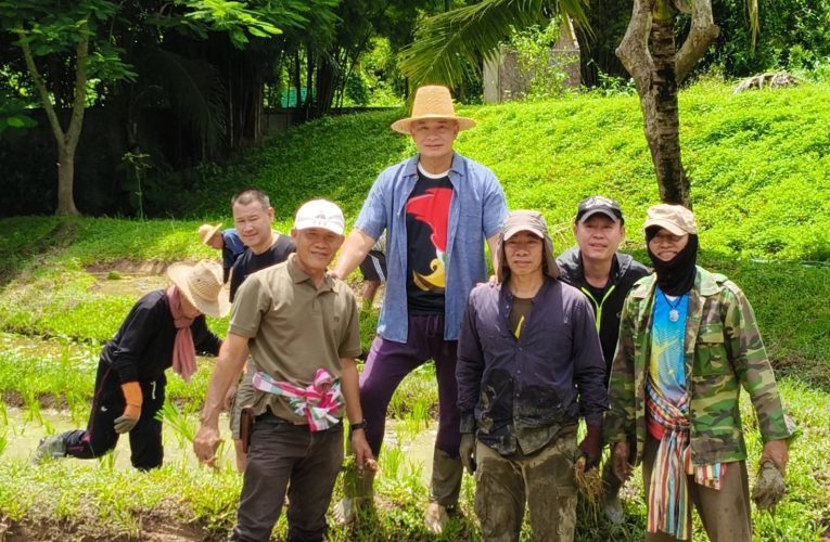 ปลูกวันแม่ เกี่ยววันพ่อ” รอง ผบ.ตร. นำทีมข้าราชการตำรวจ-ชาวบ้าน – กัลยาณมิตร 49 ลงแขกปลูกข้าว เฉลิมพระเกียรติวันแม่แห่งชาติ