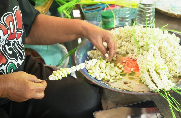 นครปฐม – ดอกมะลิร้อยมาลัยราคาพุ่งรับวันแม่แห่งชาติ
