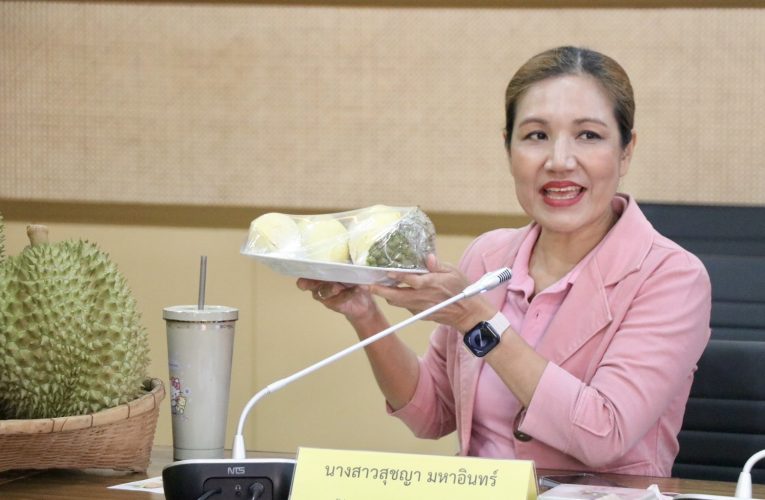 เกษตรกรจังหวัดเชียงใหม่ ยกทัพทุเรียนสายน้ำแร่เกรดพรีเมียมจากสวน มาออกร้านจำหน่ายที่ตลาดเกษตรกร ภายในศาลากลางจังหวัดเชียงใหม่