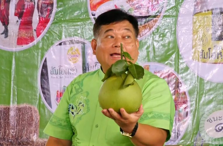 ชัยนาท – เตรียมจัดใหญ่งานวันส้มโอขาวแตงกวาผลไม้GIขึ้นชื่อ