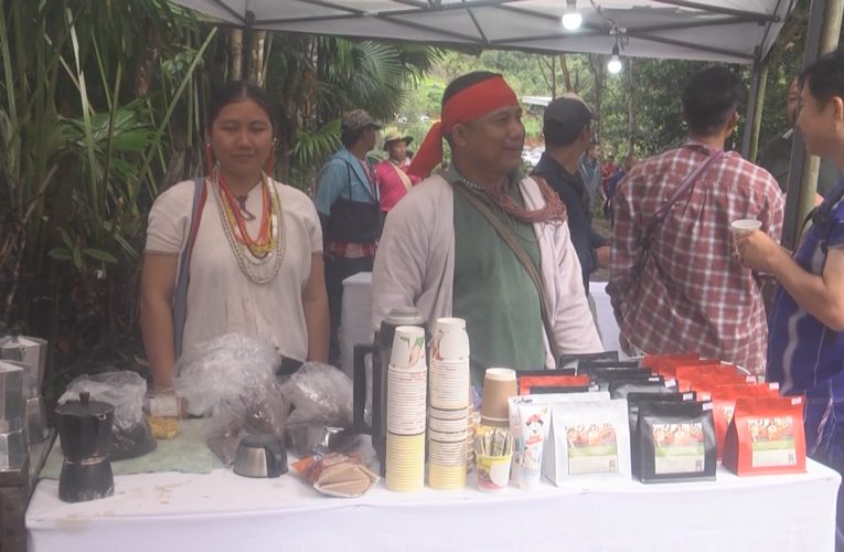 กาแฟพื้นที่สูงเป้าหมายให้กาแฟไทยแม่ฮ่องสอนติดตลาดโลก