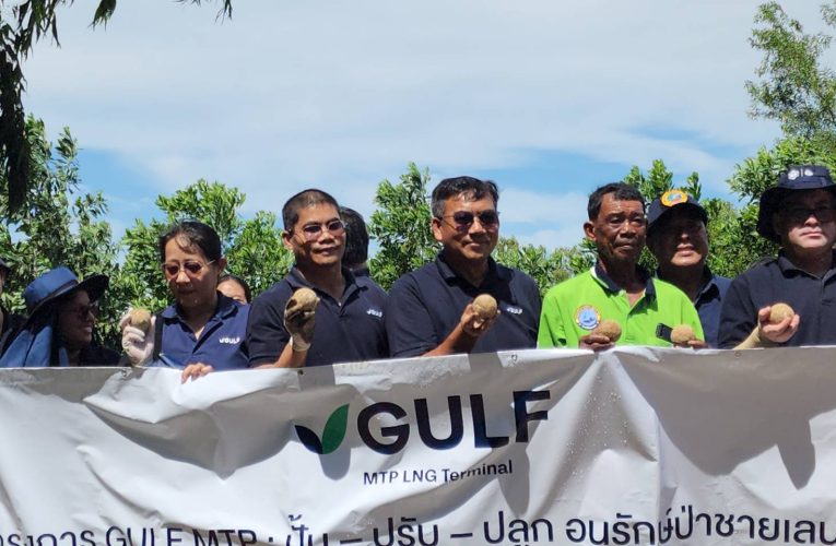 กัลฟ์ฯ จับมือ ทต.เมืองเนินพระ-วิสาหกิจชุมชนกลุ่มประมงเรือเล็กหาดสุชาดา จัดงาน GULF MTP:ฟื้นฟูป่าชายเลนด้วยนวัตกรรมจุลินทรีย์ ปีที่ 4
