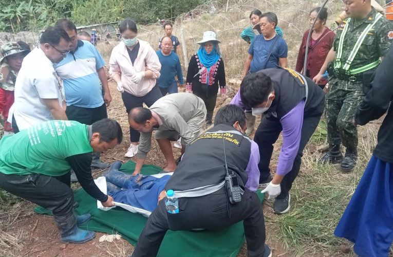 หนุ่มใหญ่บ้านขุนกลางโชคร้ายถึงคราวตายต้นไม่ล้มทับดับในสวน