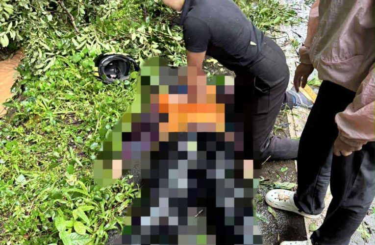 สลดต้นไม้ล้มทับตำรวจตายคาที่