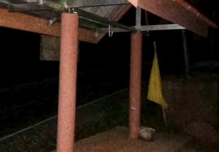 เตือนภัยโจรลักระฆังในวัด