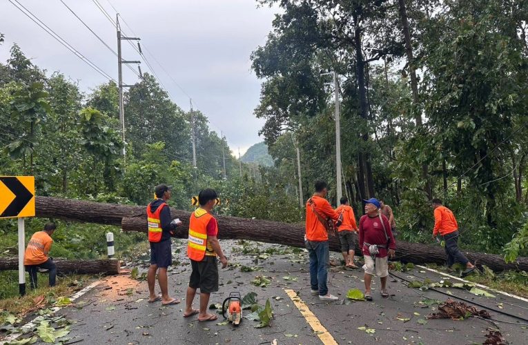 แม่ฮ่องสอน – พายุฝนกระหน่ำทำเสาไฟฟ้าโค่นจนไฟดับวงกว้างและแม่สะเรียงยังเจอน้ำหลากอีกระลอก