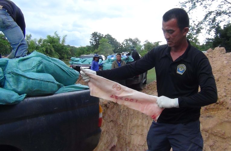 มุกดาหาร ด่านกักกันสัตว์ บูรณาการฝังกลบซากหมูเพื่อป้องกันการแพร่ระบาดของโรค