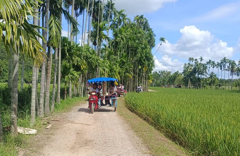 ชัยภูมิ นทท.แห่เที่ยวทิวหมากบ.ผาเบียดคึกคักในวันหยุด