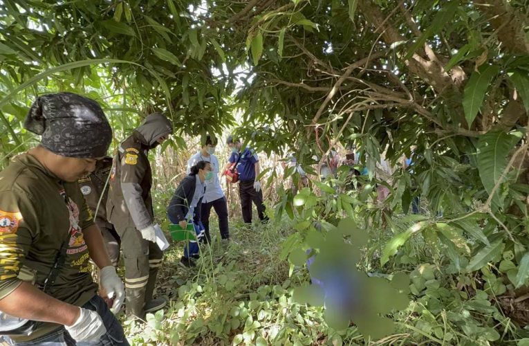 มุกดาหาร สามีน้อยใจภรรยาเรื่องดื่มเหล้าใช้เชือกผูกคนกับกิ่งมะม่วงในไร่อ้อย