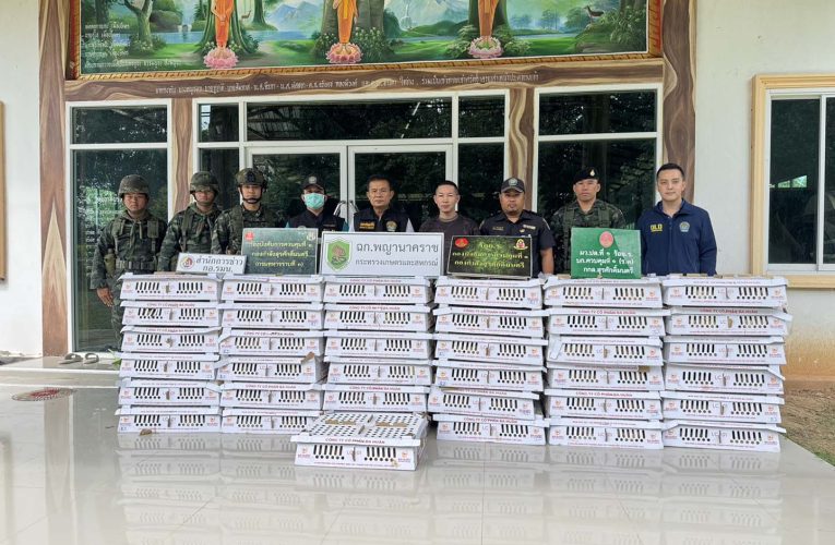 มุกดาหาร ด่านตรวจร่วมกระทรวงเกษตร สนธิกำลังตรวจยึดลูกไก่ไข่ 3700 ตัว