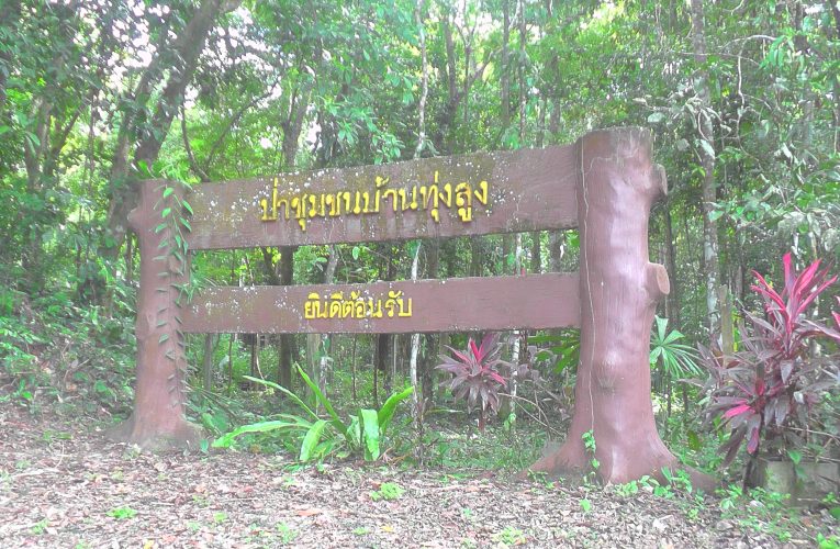 วันรักต้นไม้ประจำปีกระบี่ทำพิธีบวชป่าชุมชนบ้านทุ่งสูงที่พระพันปีหลวงและพระเจ้าอยู่หัวทรงปลูกต้นบยางนาเพื่อน้อมรำลึกถึงพระมหากรุณาธิคุณด้านประธานป่าเผยจะดูแลรักษาจนชีวิตจะหาไม่