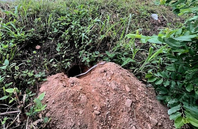 แนวร่วม BRN.ขุดหลุมใต้พื้นถนน..ที่ อ.ตากใบ – เตรียมฝังระเบิดคร่าชีวิต จนท.