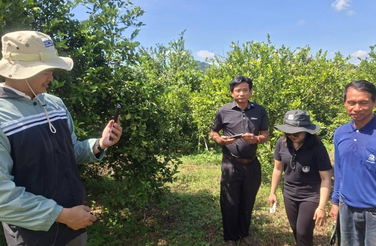 พาณิชย์แพร่ !! ลงพื้นที่ติดตามสถานการณ์รับซื้อส้มเขียวหวาน