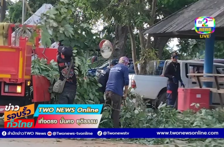 เทศบาลตำบลเชิงดอยอำเภอดอยสะเก็ดเอาใจใส่ชาวบ้าน ตัดต้นไม้แห้งป้องกันอุบัติเหตุ