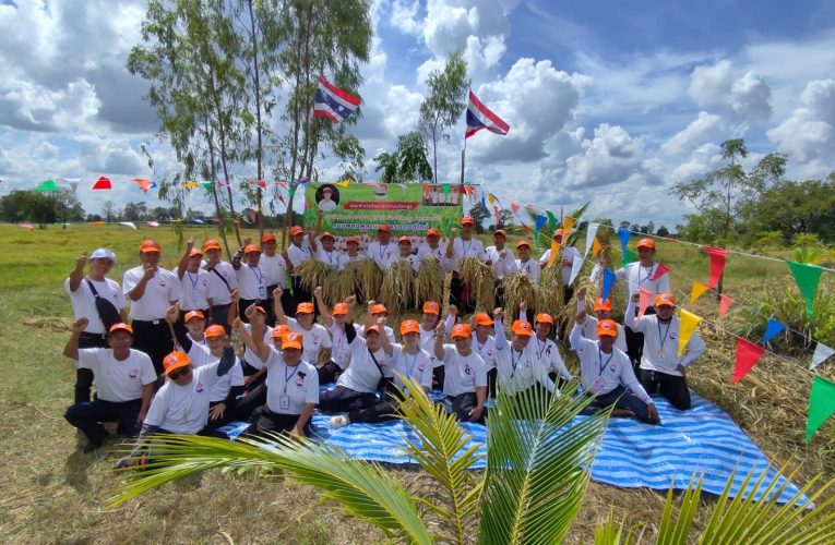 คณะทำงานจิตอาสาจังหวัดสระแก้ว ร่วมกิจกรรมลงแขกเกี่ยวข้าวแปลงนาสาธิต 5 ไร่ แบบผสมผสานเกษตรทฤษฎีใหม่