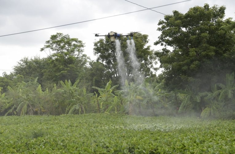 นนทบุรี-การทดลองการนำสารชีวภาพ “สวพ.62-RID No.1” มาใช้ในการพัฒนาฟื้นฟูและแก้ปัญหาแหล่งน้ำ