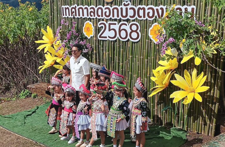 แม่ฮ่องสอนแถลงความพร้อมเปิดเทศกาลท่องเที่ยวทุ่งดอกบัวตองดอยแม่อูคอเน้นเที่ยวถิ่นบัวแห่งแรกของไทย