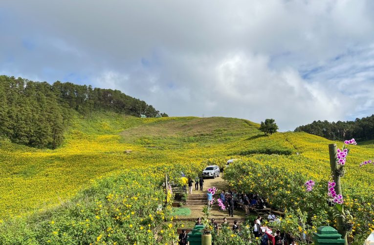 จังหวัดแม่ฮ่องสอน จัดงานแถลงข่าว ส่งเสริมเทศกาลดอกบัวตองบานบนดอยแม่อูคอ อ. ขุนยวม จ. แม่ฮ่องสอน