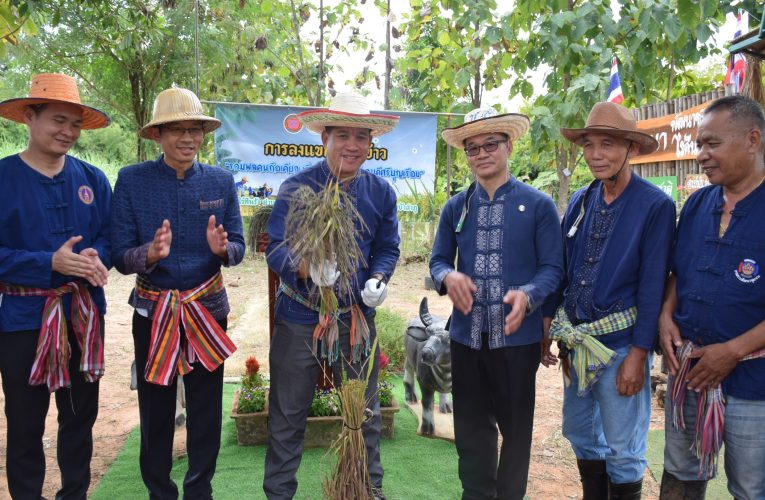 หนองบัวลำภู นายอำเภอศรีบุญเรือง รวมพลคนถือเคียว