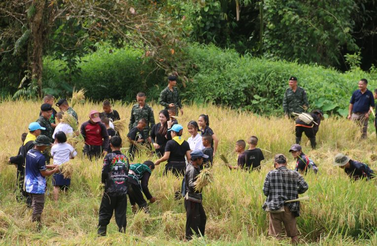 กาญจนบุรี กิจกรรม “การทำนารวม สานสามัคคี สืบทอดวิถี ประเพณี วัฒนธรรม และการอนุรักษ์ผืนป่า”