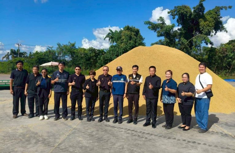 พาณิชย์แพร่ !!! จัดโครงการตลาดนัดข้าวเปลือก @ อ.สูงเม่น