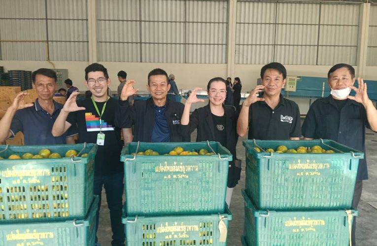 พาณิชย์แพร่ !!! เชื่อมโยงส้มเขียวหวานสู่ตลาดโมเดิร์นเทรด (Big C)