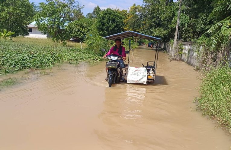 ชัยภูมิอ่วมนาข้าวชาวตำบลส้มป่อยนับพันไร่ถูกน้ำท่วมเสียหายหนัก ผลกระทบมาจากฝายบ.ท่ากูบแตกทะลักท่วมเสียหาย