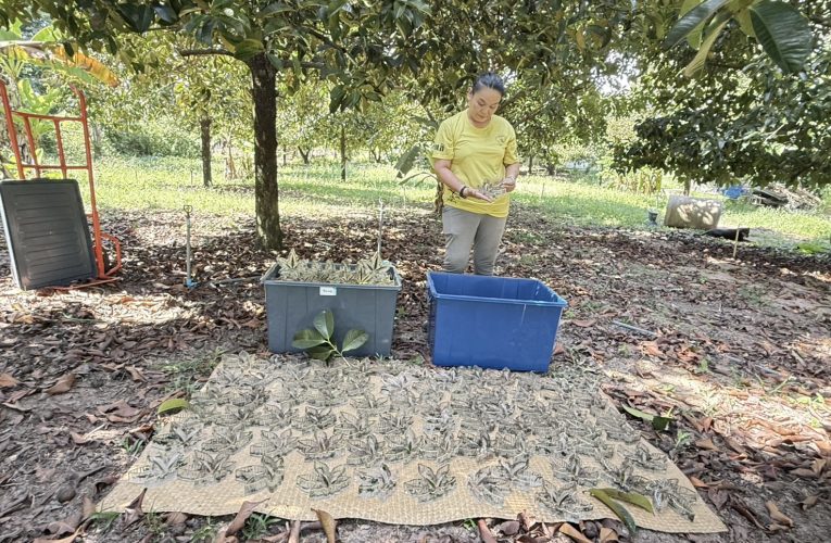 เปิดไฮซีซั่นสวรรค์แห่งแกลง