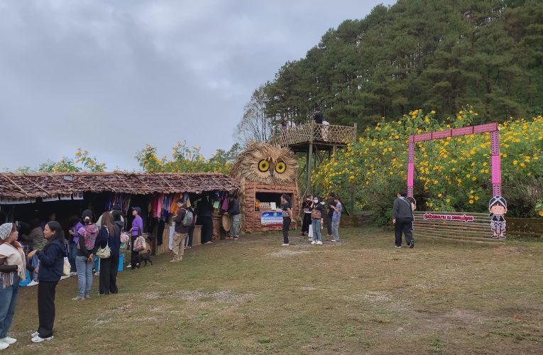 ถนนทุกสายมุ่งหน้าสู่ทุ่งบัวตองดอยแม่อูคอ