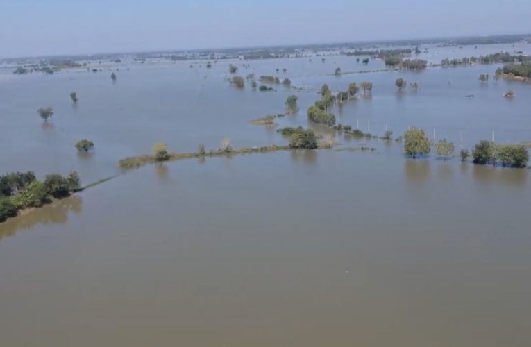 พิษณุโลก เร่งระบายน้ำออกจากทุ่งบางระกำ หลังรับน้ำจากสุโขทัยอีก จนจุน้ำ 204 ล้าน เพิ่มจากเมื่อวาน 5 ล้าน ลบ.ม