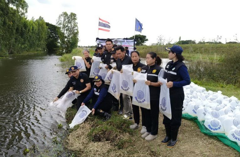 ลพบุรี ประมงปล่อยปลากว่า 15 ล้านตัวลงพื้นที่น้ำท่วมเป็นแหล่งอาหาร