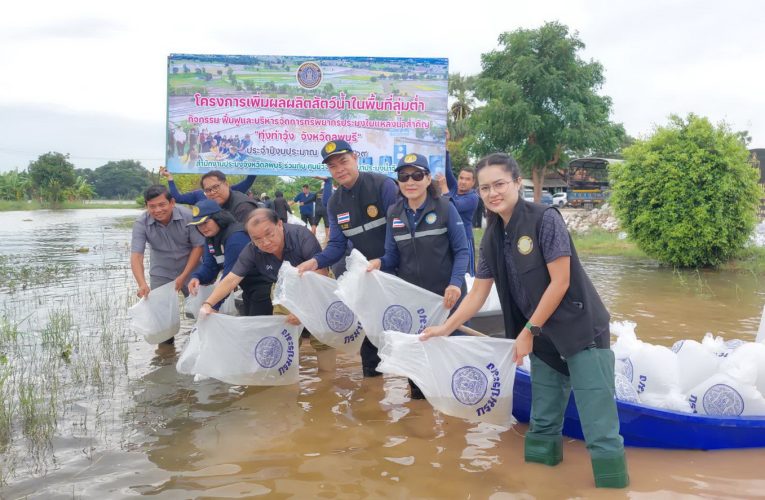 ลพบุรี ประมงลพบุรีปล่อยพันธุ์ปลาลงทุ่งท่าวุ้งกว่า 15 ล้านตัวในแหล่งน้ำท่วม
