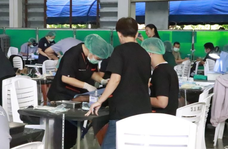 แม่ฮ่องสอน จังหวัดแม่ฮ่องสอน เปิดโครงการเร่งรัดผ่าตัดทำหมันสุนัข–แมว ควบคุมโรคพิษสุนัขบ้า ปี 2569