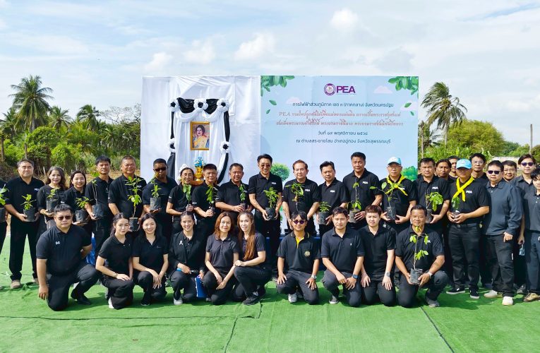 สุพรรณบุรีPEA จัดกิจกรรม รวมใจปลูกต้นไม้เพื่อแม่ของแผ่นดิน