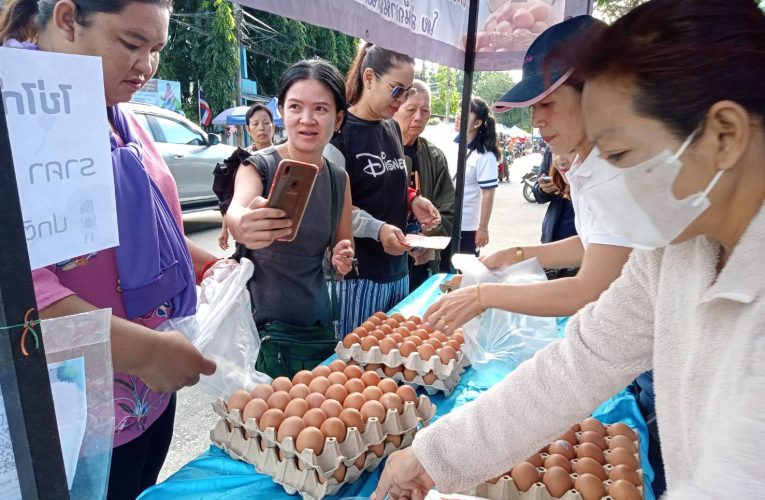 สำนักงานพานิชย์ จ.พิษณุโลก นำไข่ไก่สด มาจำหน่ายในราคาประหยัดแก่ประชาชน เพื่อลดภาระค่าครองชีพ และช่วยเหลือเกษตรกรผู้เลี้ยงไก่ วางแผนเดินทางไปจำหน่ายให้ครบทั้ง 9 อำเภอ