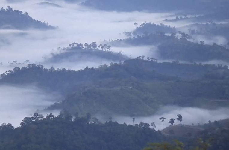 พิษณุโลก สวนพฤกษศาสตร์บ้านร่มเกล้า เปิดเทศกาลห่มหมอก กอดหนาว เรื่องเล่าบนภู น้อมสำนึกในพระมหากรุณาธิคุณ