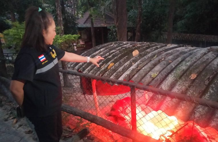 สวนสัตว์เชียงใหม่วาง 5 มาตรการเพิ่มความอบอุ่นตามธรรมชาติ ติดตั้งอุปกรณ์เพิ่มความอบอุ่น เสริมวิตามินและอาหารบำรุงสัตว์จัดทำที่กำบังลม และรักษาอุณหภูมิให้สัตว์น้ำ รับอากาศหนาวเย็น