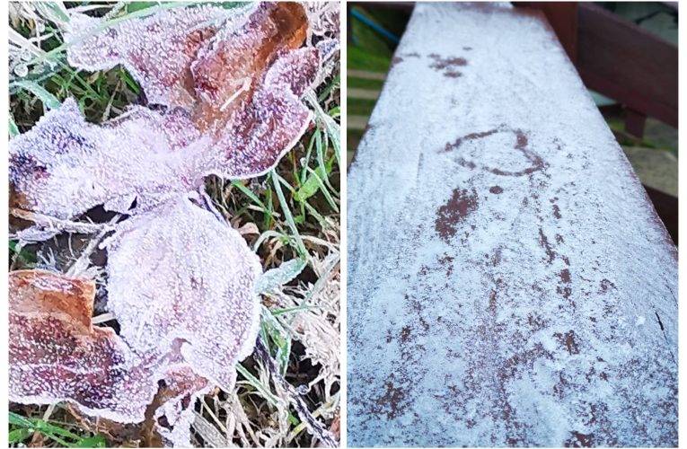 อินทนนท์อากาศหนาวอุณหภูมิลดลง เหลือ 2 องศาแล้ว อุณหภูมิติดลบ -0.4 องศา ที่ยอดหญ้า และ -2.3 องศา ที่แผ่นไม้ เหมยขาบ เกาะขาวโพล ปรากฏการณ์เหมยขาบที่ยอดดอย นักท่องเที่ยวคึกคัก เกิดเหมยขาบติดต่อกันเป็นวันที่ 4