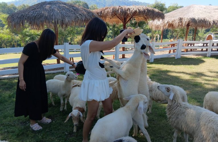 เปิดให้เข้าชมแล้ว คลองลานฟลอร่าพาร์ค