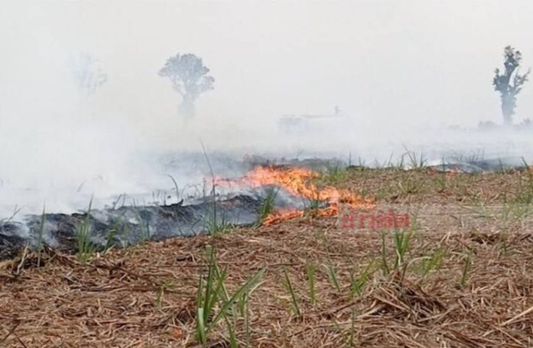 สกลนคร ผู้ว่าฯห่วงใยสุขภาพชาวบ้านออกประกาศห้ามเผา เพื่ออากาศที่บริสุทธิ์ป้องกัน pm2.5
