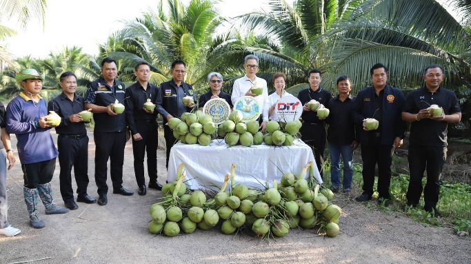 จังหวัดสมุทรสงคราม kick off “กิจกรรมเชื่อมโยงและระบายผลผลิตมะพร้าวน้ำหอม”