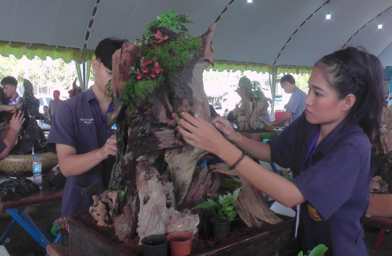 องค์การเกษตรกรในอนาคตแห่งประเทศไทยแข่งขันทักษาะทางวิชาการและวิชาชีพเพื่อพัฒนาความเป็นเลิศของสมาชิกระดับภาคใต้ 3 – 7 ธันวาคมนี้ที่วิทยาวัยเกษตรกระบี่