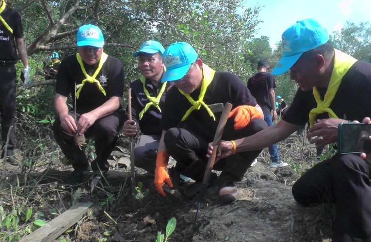 จิตอาสาบำเพ็ญที่สาธารณประโยชน์พัฒนาปรับปรุงภูมิทัศน์ป่าชายเลนเนื้อที่ 22 ไร่เนื่องในวันคล้ายวันพระบรมราชสมภพพ่อหลวงรัชกาลที่ 9 วันชาติและวันพ่อแห่งชาติปี 2568