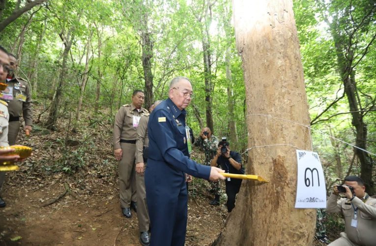 สำนักพระราชวังจัดพิธีบวงสรวงและตัดไม้จันทน์หอม ณ อุทยานแห่งชาติกุยบุรี เพื่อนำไปใช้ในพระราชพิธีถวายพระเพลิงพระบรมศพ สมเด็จพระนางเจ้าสิริกิติ์ พระบรมราชินีนาถ พระบรมราชชนนีพันปีหลวง